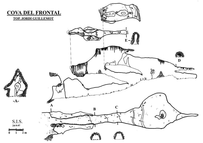 frontal cova medium